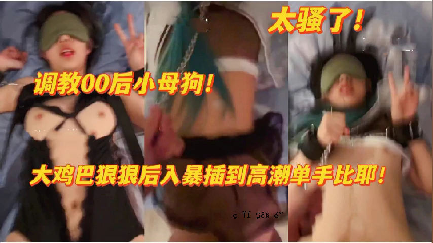 训练00后，狗妈妈印象深刻