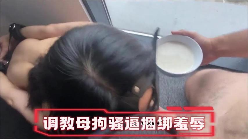 教育母狗一狗一狗一人