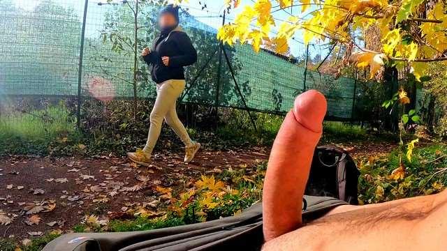 DICKFLASHinthePARK 一位浪子熟女忍住所 我是另一位硬性女人 [GentlyPerv]