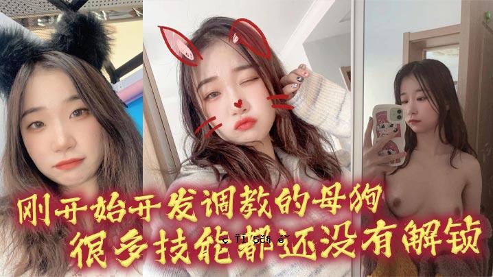 一只多才多艺的母狗，也是一只多才多艺的狗。