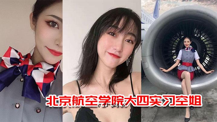 北京航空学院大学四架实用飞机大师潜水机长发散泄密