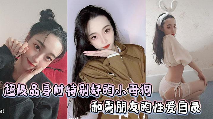 Kazuo的朋友对一只身体材质特殊的小母狗的喜爱