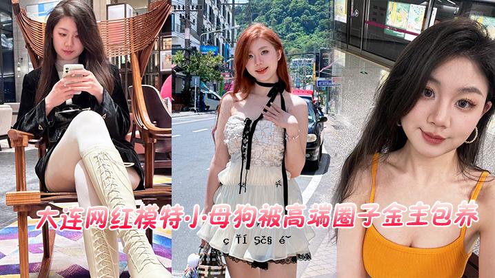大连红模专用小母狗 覆盖高端圈子 金色 主包装泄露