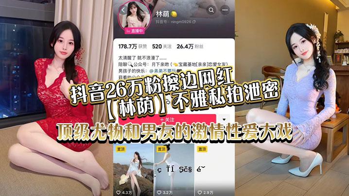 价值26万日元的垃圾，红林，丑陋，我的秘密，我男性朋友的热烈爱情。